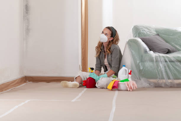 Reliable Mold Cleanup contractor in Charlestown, MD by WQB Mold Removal